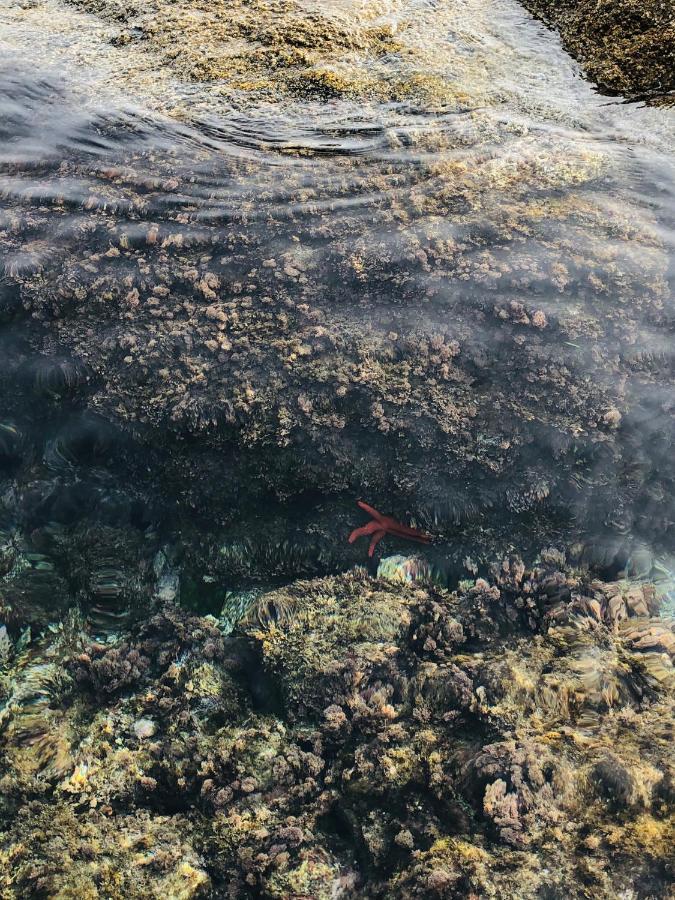Almadrava Beach Ρόζες Εξωτερικό φωτογραφία